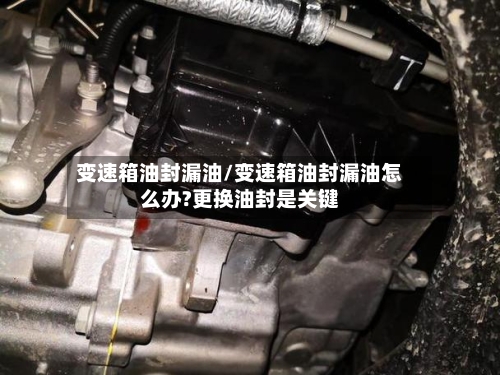 变速箱油封漏油/变速箱油封漏油怎么办?更换油封是关键-第3张图片