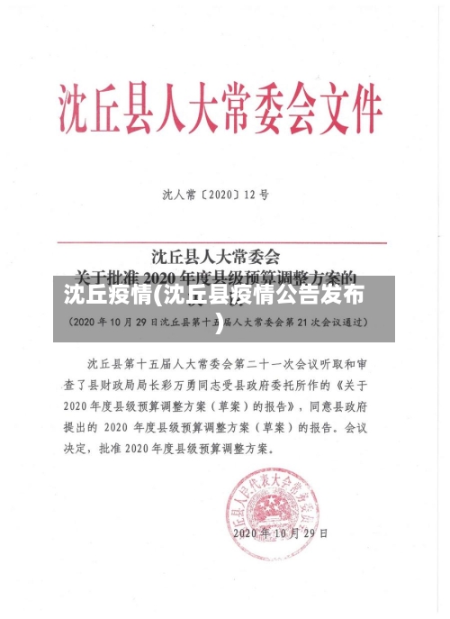 沈丘疫情(沈丘县疫情公告发布)-第2张图片