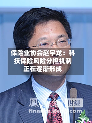 保险业协会赵宇龙：科技保险风险分担机制正在逐渐形成