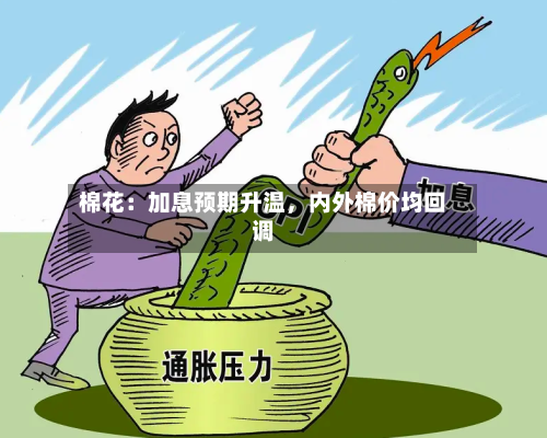 棉花：加息预期升温，内外棉价均回调-第3张图片