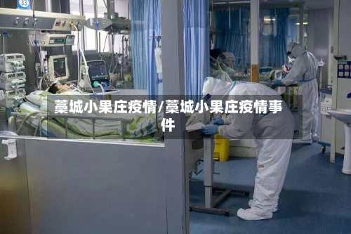 藁城小果庄疫情/藁城小果庄疫情事件