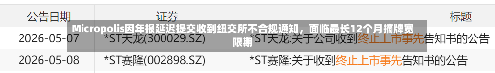 Micropolis因年报延迟提交收到纽交所不合规通知，面临最长12个月摘牌宽限期-第2张图片