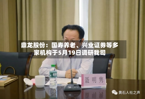 鼎龙股份：国寿养老、兴业证券等多家机构于5月19日调研我司-第2张图片
