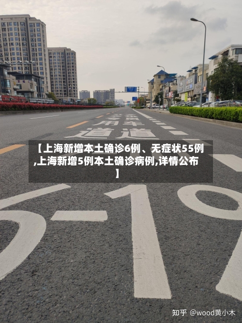 【上海新增本土确诊6例、无症状55例,上海新增5例本土确诊病例,详情公布】-第3张图片