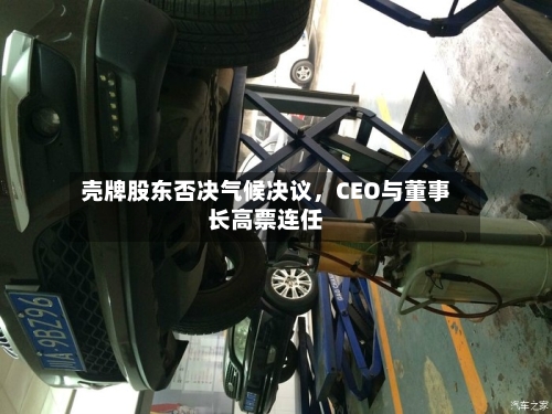 壳牌股东否决气候决议，CEO与董事长高票连任-第2张图片
