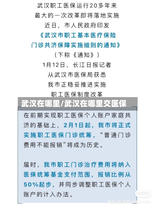 武汉在哪里/武汉在哪里交医保-第2张图片