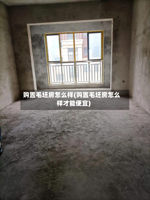 购置毛坯房怎么样(购置毛坯房怎么样才能便宜)