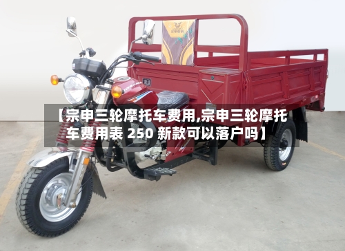 【宗申三轮摩托车费用,宗申三轮摩托车费用表 250 新款可以落户吗】-第3张图片