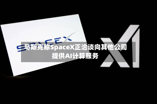 马斯克称SpaceX正洽谈向其他公司提供AI计算服务