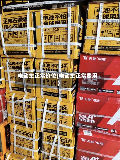 电动车正常价位(电动车正常费用)-第2张图片