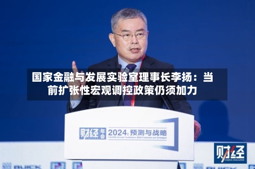国家金融与发展实验室理事长李扬:当前扩张性宏观调控政策仍须加力