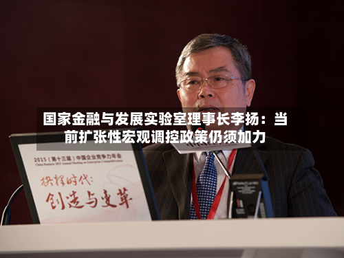 国家金融与发展实验室理事长李扬:当前扩张性宏观调控政策仍须加力-第2张图片