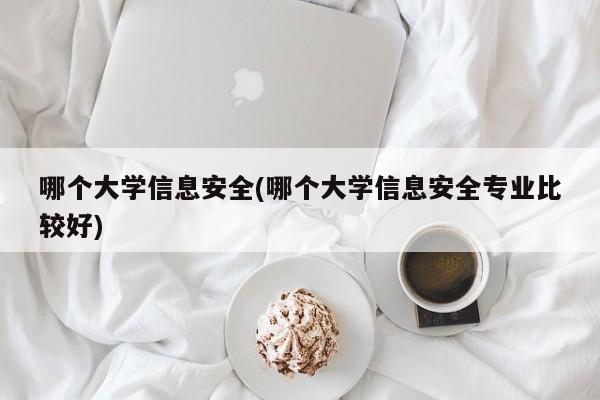 哪个大学信息安全(哪个大学信息安全专业比较好)