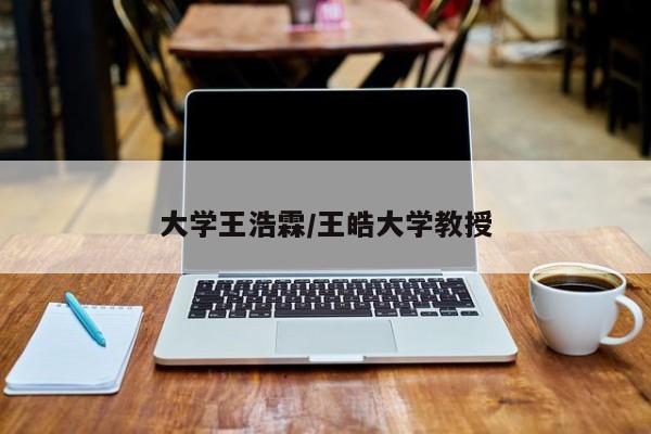 大学王浩霖/王皓大学教授