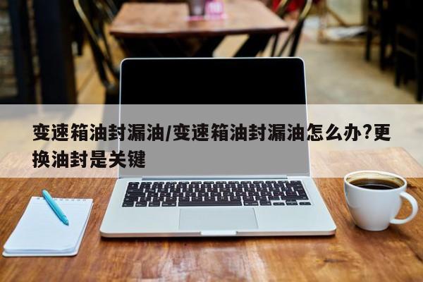 变速箱油封漏油/变速箱油封漏油怎么办?更换油封是关键